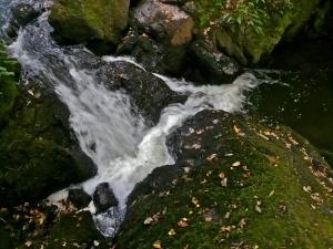 Oshun's power, river near Inverness, Scotland